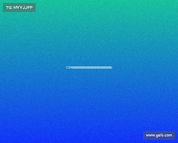 CBA总决赛精彩回顾：巅峰对决激战四方，冠军之路的荣耀与挑战