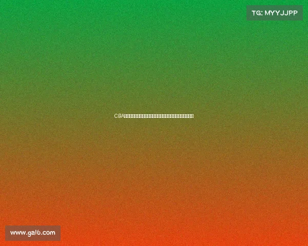 CBA总决赛精彩回顾：巅峰对决激战四方，冠军之路的荣耀与挑战